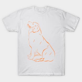 Brown Dog T-Shirt